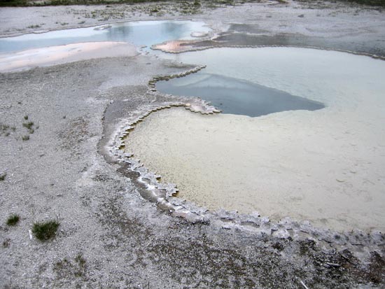 2006 family reunion in Yellowstone National Park